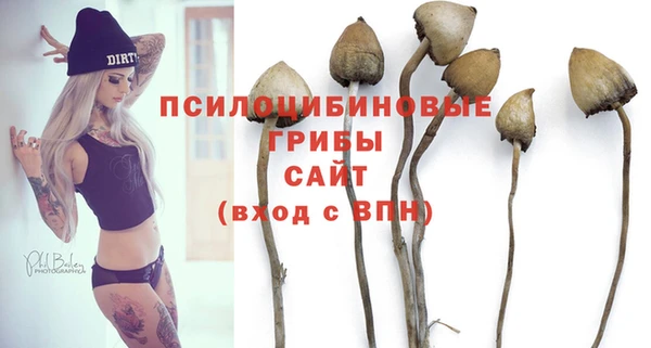 гидропоника Билибино