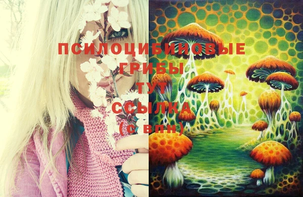 кокаин премиум Няндома