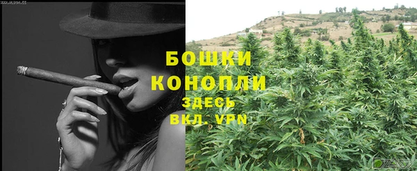 ПСИЛОЦИБИНОВЫЕ ГРИБЫ Нязепетровск