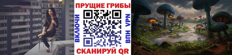 где найти   blacksprut ССЫЛКА  Псилоцибиновые грибы прущие грибы  Кодинск 